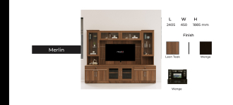 TV UNIT
